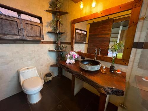 圣弗朗西斯科Natubri Ecohotel Habitacion VIP的一间带卫生间、水槽和镜子的浴室