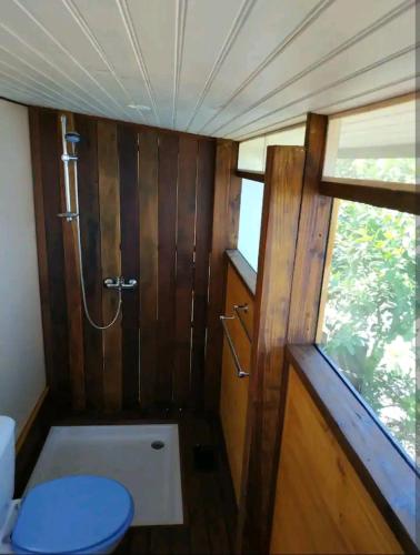 普纳奥亚Bungalow Moemoea的一间带卫生间和淋浴的小浴室
