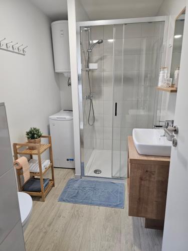 德拉格Premium mobile home SUN & JOY - Oaza Mira Camping的带淋浴和盥洗盆的浴室