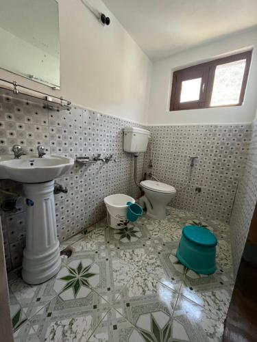 帕哈尔加姆Pine Brooke Pahalgam的一间带水槽和卫生间的浴室