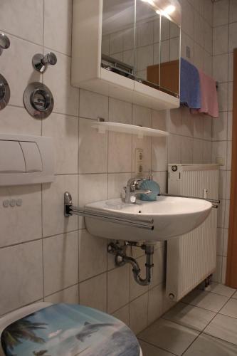 瓦门施泰纳赫Ferienwohnung Werner的一间带水槽和镜子的浴室