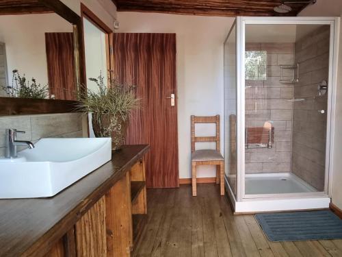 侯斯普瑞特Paradise River Lodge的一间带水槽和淋浴的浴室