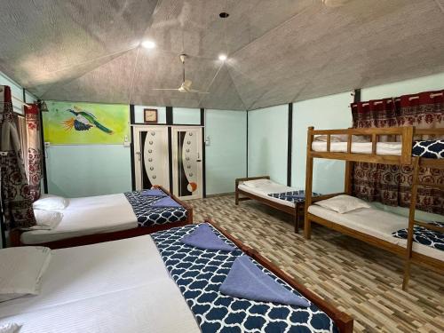 Mudumalai National ParkGreenwoods Nature Camp的带两张双层床的客房中的两张床