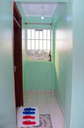 埃尔多雷特Amani Homes的一间设有绿色墙壁、门和窗户的房间