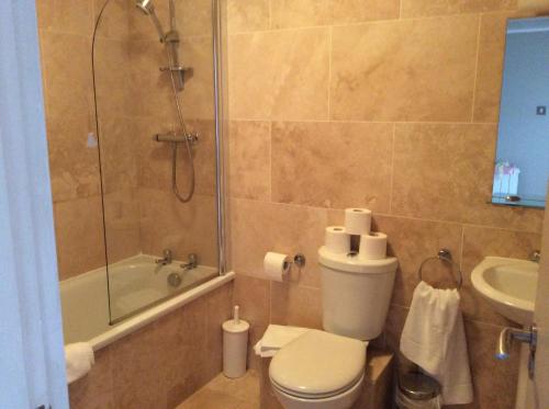 圣布雷拉德Corbiere Phare Apartments的带淋浴、卫生间和盥洗盆的浴室