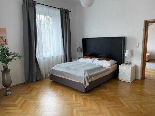 克拉根福Studios Klagenfurt的一间卧室设有一张床和一个大窗户