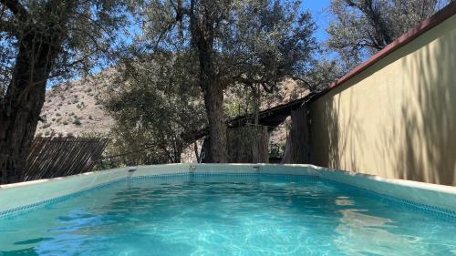 ImoulassAtlasunsea - Riad de l’Atlas的一座树木繁茂的庭院内的游泳池