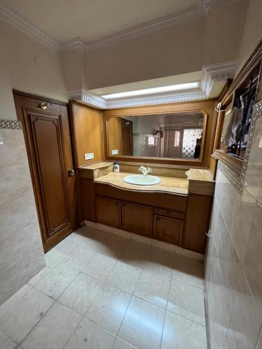 海得拉巴STONEROCK CASTLE的一间带水槽和镜子的浴室