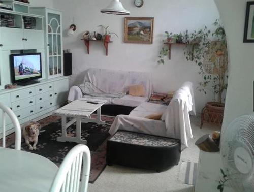 姆西达1, 2 or 3 Bed Rooms - Malta Central Location, Very near Sea and Tourism hub的带沙发和电视的客厅