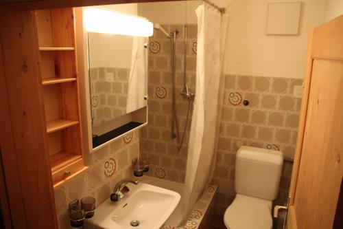 阿尔代兹Chasa Campell的一间带水槽、淋浴和卫生间的浴室