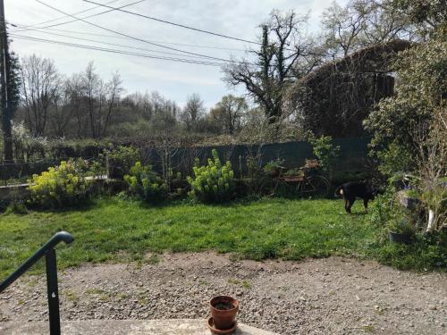 Saint-Cyr-des-GâtsDéconnection的一只黑狗站在院子里的草地上