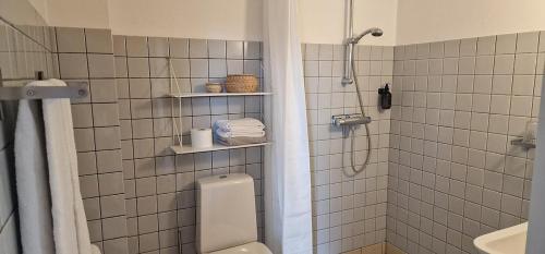 马斯塔尔Hotel Udsigten Marstal的带淋浴、卫生间和盥洗盆的浴室