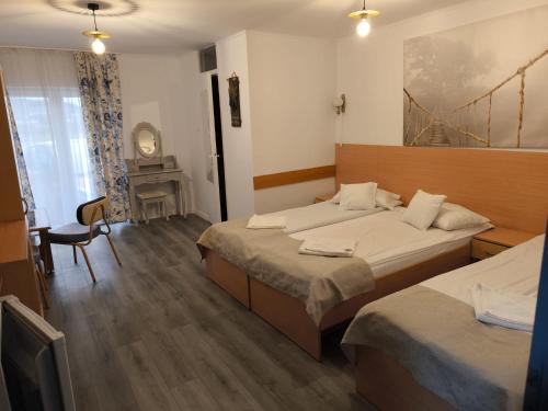 CoruncaVila Chesa的酒店客房配有两张床和一张书桌