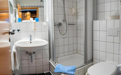 沙普罗德Hotel Zur alten Schmiede的带淋浴和盥洗盆的浴室