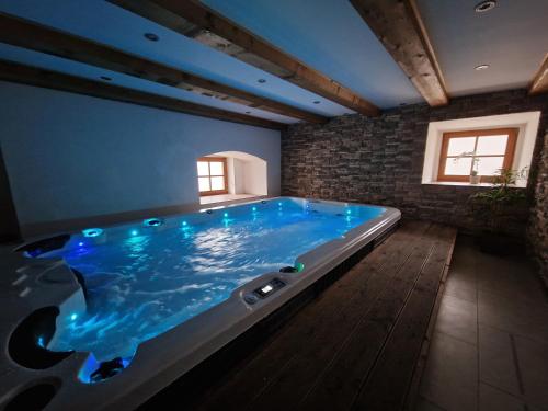 迪耶河畔弗拉诺夫Babyhotel Karolínka, wellness的蓝色浴缸房间内的大型游泳池