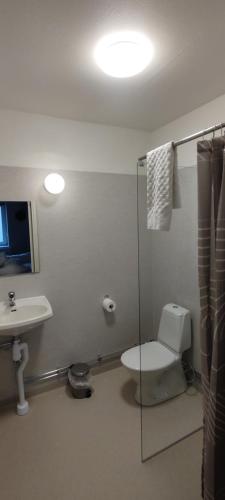 克里斯蒂娜港Britz Hostel的浴室配有卫生间、盥洗盆和淋浴。