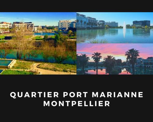 蒙彼利埃Grand T2 Montpellier Climatisation Terrasse Proche centre Ville et Plages的城市和湖泊照片的拼合