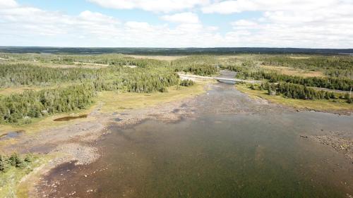 River of PondsGenevieve Bay Inn的树木的水域的空中景观