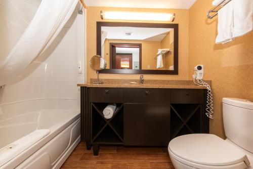 瓦勒多瓦尔多尔品质套房酒店的一间带水槽、卫生间和镜子的浴室