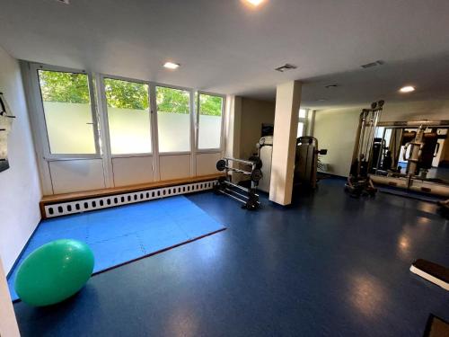 圣恩吉玛Casa Köstner的一间健身房,里面有一个绿球