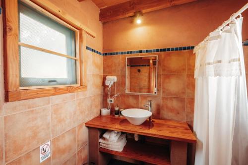 圣佩德罗·德·阿塔卡马Terra Luna Atacama的一间带水槽和淋浴帘的浴室