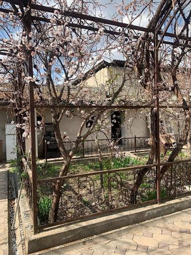奥什Altan Hostel Osh的建筑物前有花树的栅栏
