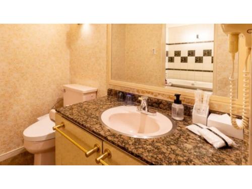 雫石町SHIZUKUISHI RESORT HOTEL - Vacation STAY 29557v的一间带水槽、卫生间和镜子的浴室