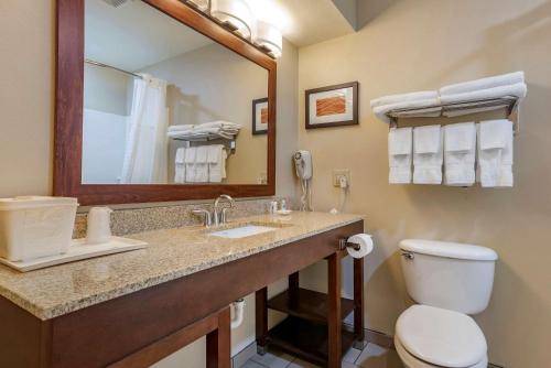Amite阿米特康福特茵酒店的一间带水槽、卫生间和镜子的浴室