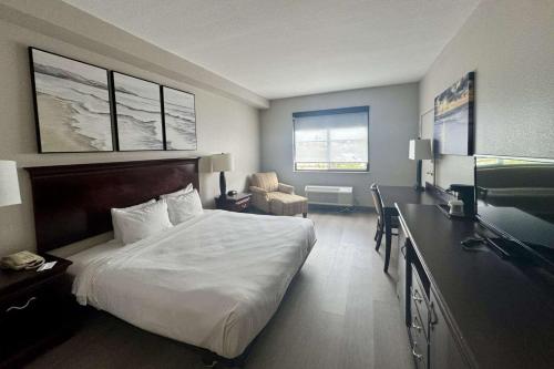 夏洛特港夏洛特港江山旅馆 的酒店客房配有一张床和一张书桌及一台电视