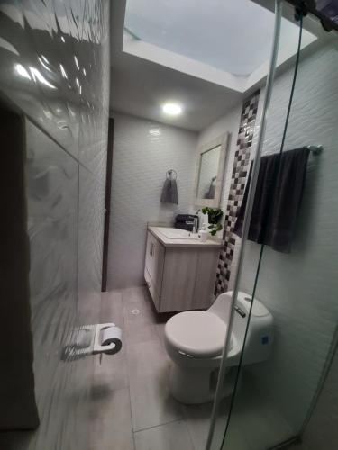 马尼萨莱斯Suite con hamaca y baño privado.的一间带卫生间、水槽和镜子的浴室