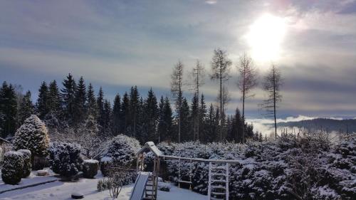 沃尔夫斯堡Ferienhaus für 2 Personen ca 70 qm in Wolfsberg, Kärnten Saualpe的一座花园,被雪覆盖,阳光照耀着