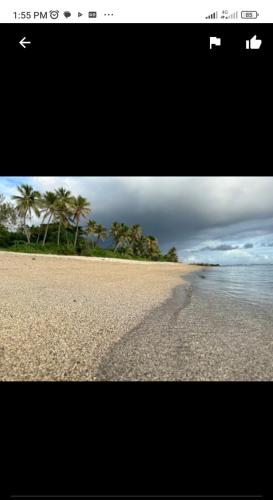 LénakelWhite Beach Bungalow & Restaurant的棕榈树海滩和海洋的照片