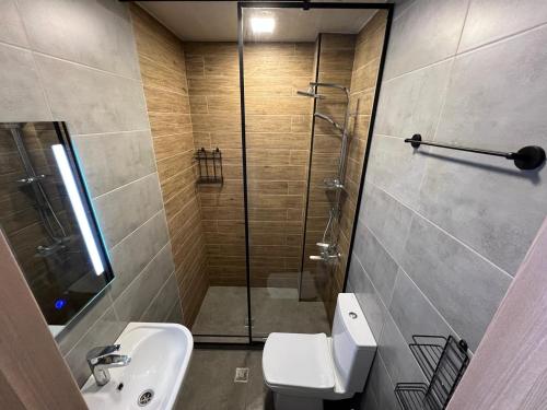 巴统HOTEL PARIS的带淋浴、卫生间和盥洗盆的浴室