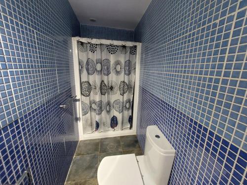 阿雷西费Lanzarote Hostel的蓝色瓷砖浴室设有卫生间和窗户