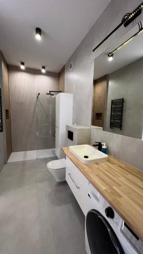 别尔斯克-比亚拉CityCenterApartments/M32/8B的一间带水槽、卫生间和淋浴的浴室
