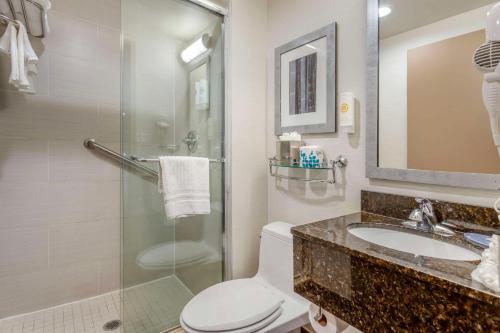 纽约Comfort Inn Manhattan - Midtown West的浴室配有卫生间、盥洗盆和淋浴。