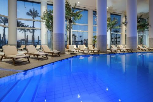 恩波其克Vert Dead Sea by AFI Hotels的酒店游泳池设有椅子和棕榈树