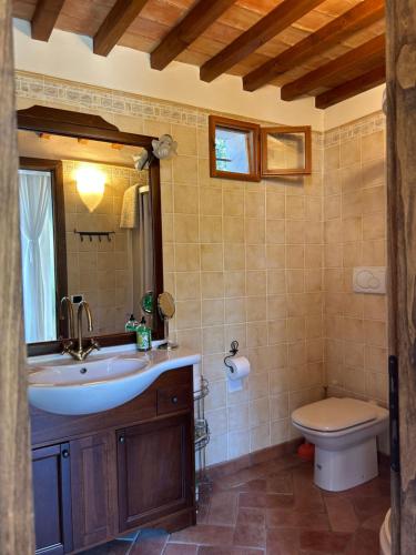 基安蒂格雷夫Casa le Capanne的一间带水槽和卫生间的浴室