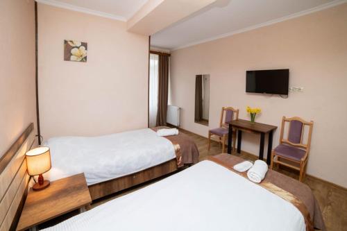 泰拉维卡福卡斯欧尼33号旅馆的酒店客房设有两张床和电视。