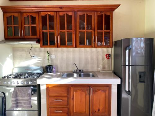HigueyApartaHotel El Bonao的厨房配有木制橱柜和不锈钢冰箱。