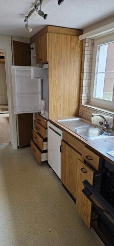 FreienbachGarden Eden的厨房配有木制橱柜、水槽和窗户。