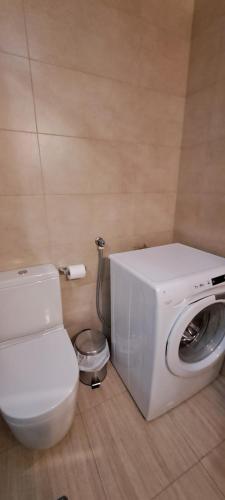 阿利坎特APART HOTEL的浴室位于卫生间旁,配有洗衣机。