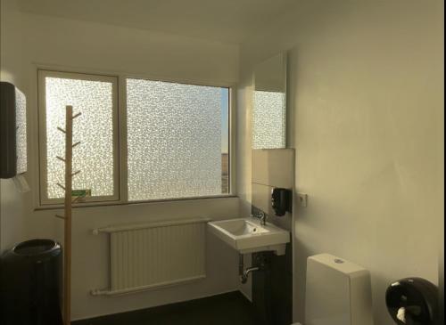 霍尔斯沃德吕尔Starlight Camping Pods的一间带水槽、窗户和卫生间的浴室