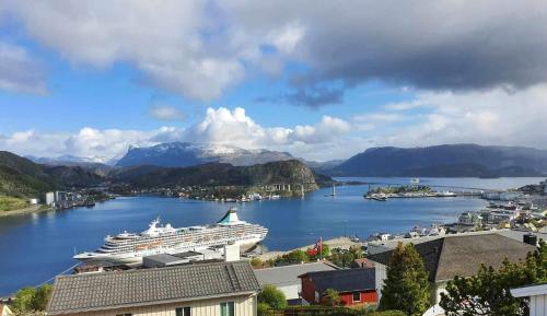 莫吕Maaloey Fjord & Mountain Panorama的一艘在大水体上的游轮