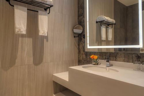 哈费尔巴廷فندق ساس - SAS Hotel的一间带水槽和镜子的浴室