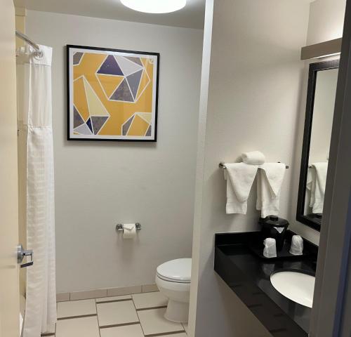 亚克朗Comfort Inn & Suites Akron South的一间带卫生间和水槽的浴室