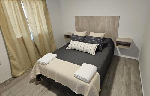 普洛缇尔Complejo Chile Plottier的一间卧室配有一张大床和两个枕头