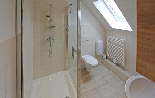 米罗Amazing Apartment In Mirow With Kitchen的带淋浴、卫生间和盥洗盆的浴室