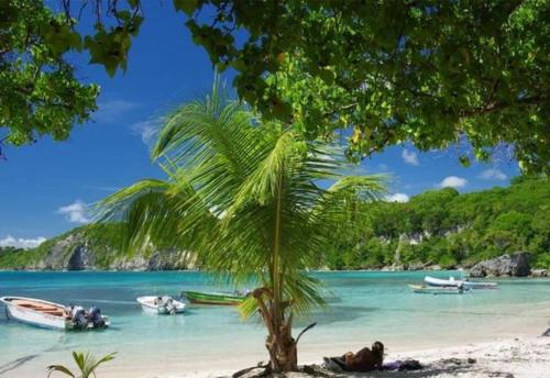 哥西尔Studio de charme au Gosier的海滩上的棕榈树,水中有船