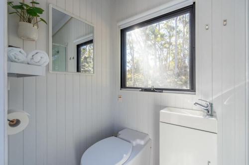 克拉肯巴克Wallaby Cabin的一间带卫生间、水槽和窗户的浴室